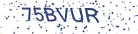 OX CaptCha