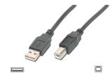 USB Cable, Typ A-B, 3m, beige