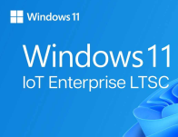 Windows 11 IoT Enterprise 2024 LTSC - Value ePKEA
