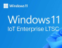 Windows 11 IoT Enterprise 2024 LTSC - Value ePKEA - DIV-176.1399